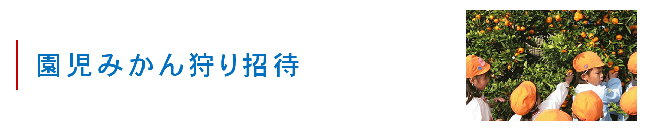 園児みかん狩り招待