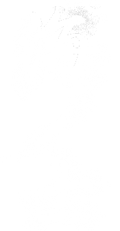 海ノ士