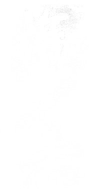 海ノ士
